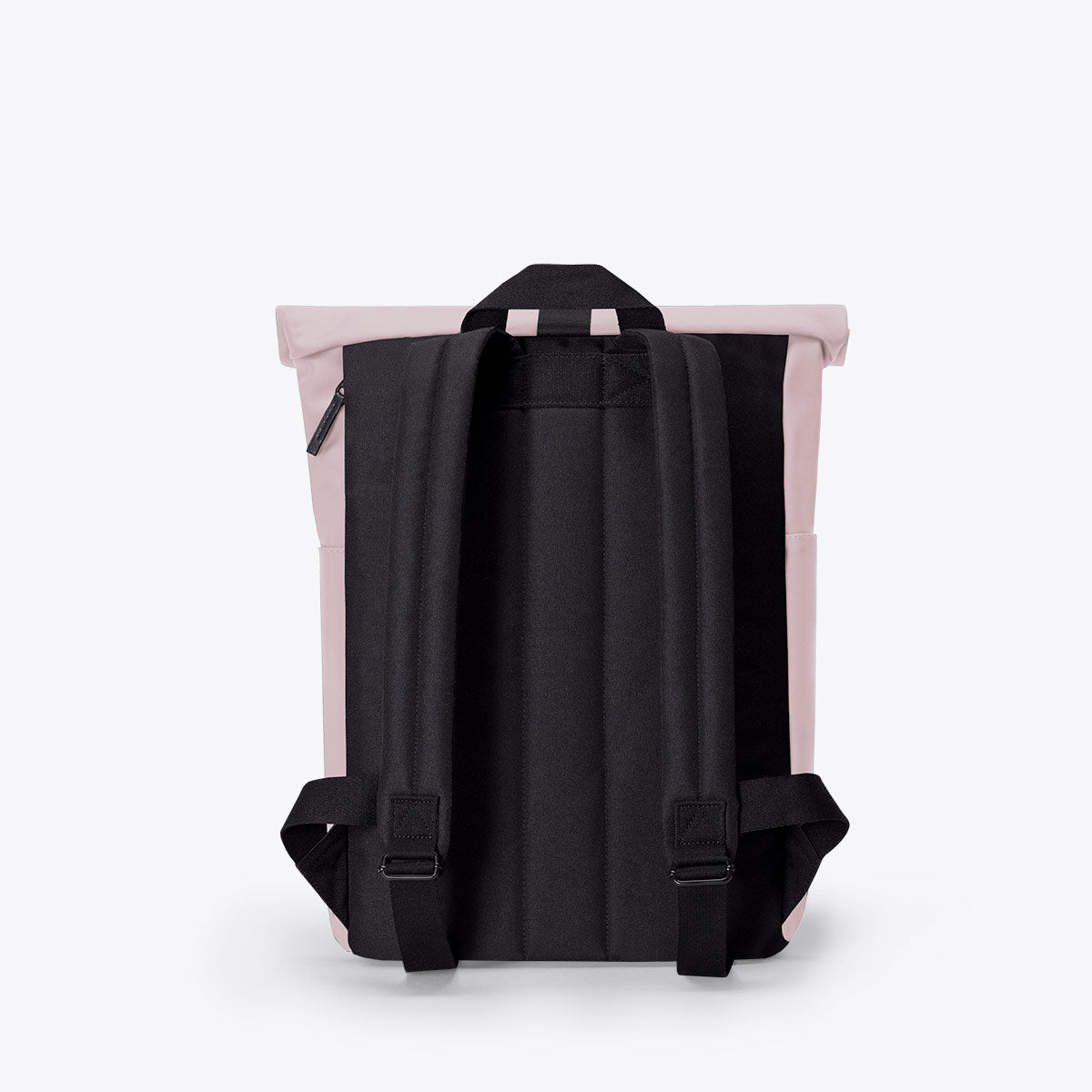 Amber and hotsell ash backpack pink