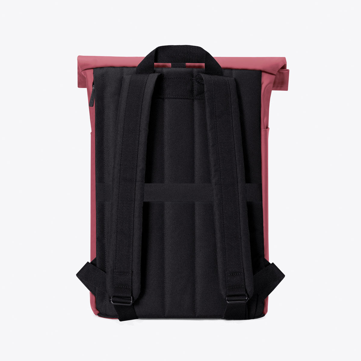 Hajo Roll-Top Backpack - Burgundy / Medium