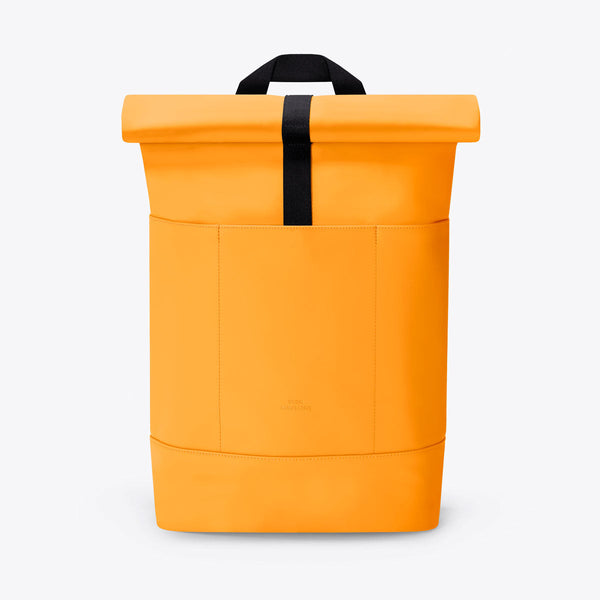 Amber / Medium