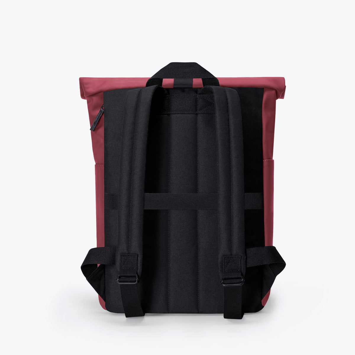 Hajo Roll-Top Backpack - Burgundy / Mini