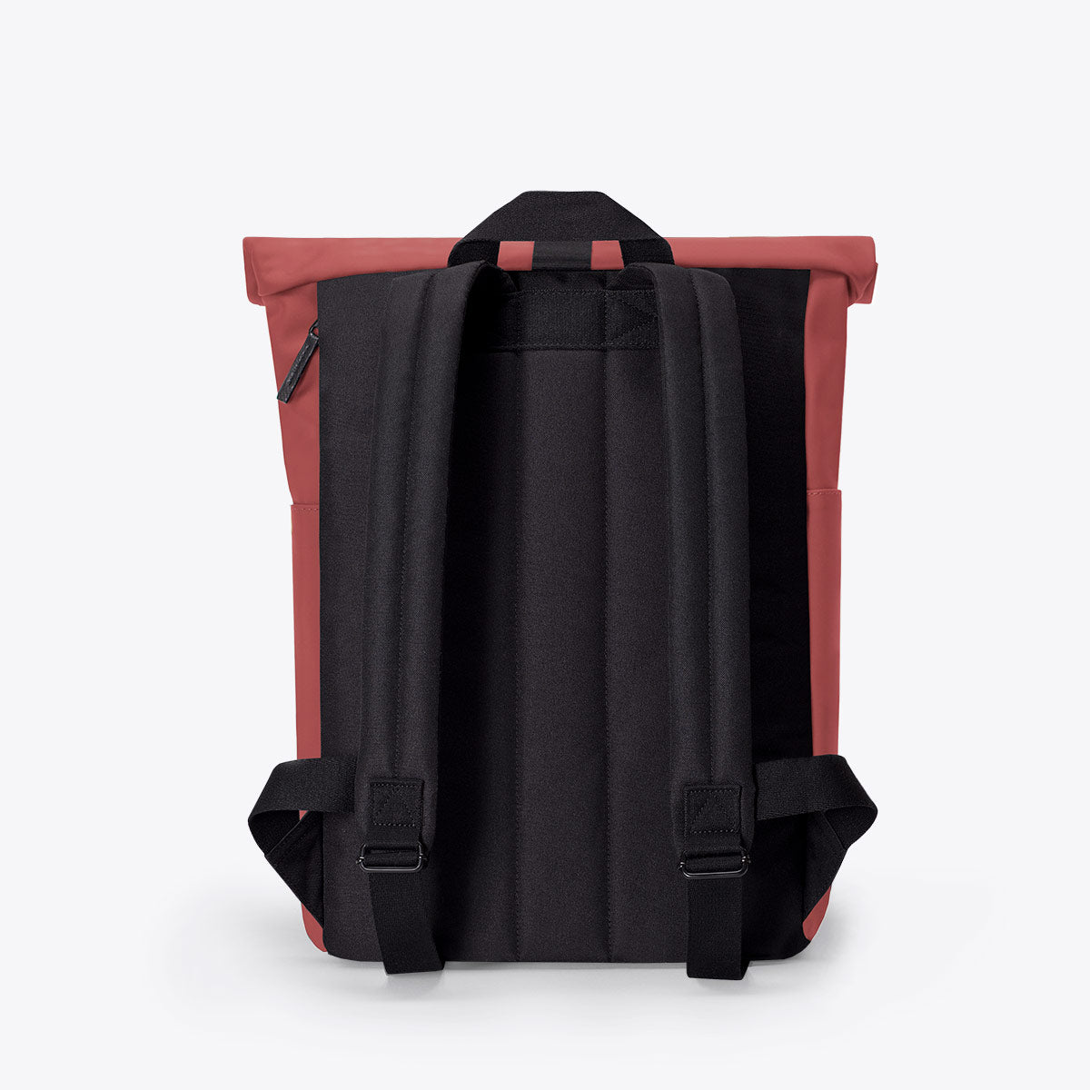 Hajo Roll-Top Backpack - Hibiscus / Mini
