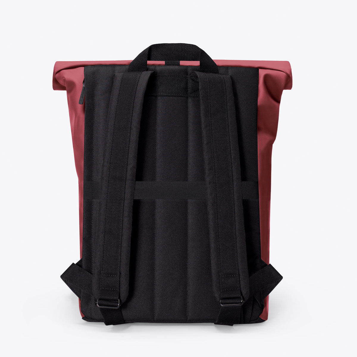 Jannik Roll-Top Backpack - Burgundy / Medium