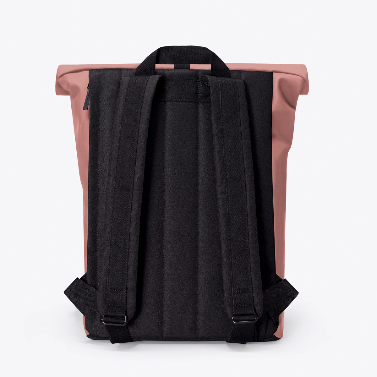 Jannik Roll-Top Backpack - Dark Rose / Medium