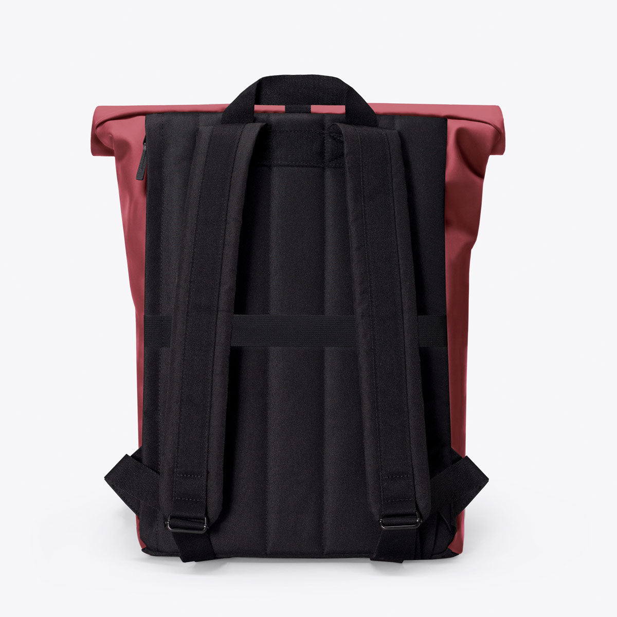 Jannik Roll-Top Backpack - Burgundy / Mini